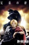 Fullmetal Alchemist Brotherhood To Conclude the Story Coincided with the Manga [Update May 8]