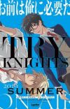 'Try Knights' TV Anime Reveals Additional Cast Members [Update 5/24]