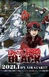'Hataraku Saibou Black' Spin-off Gets TV Anime in January 2021