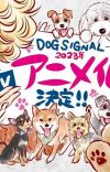 Manga 'Dog Signal' Gets TV Anime in Fall 2023