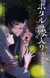 Manga 'Hotaru no Yomeiri' Gets TV Anime Adaptation in Fall 2026