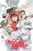 Hataraku Saibou!!