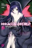 Accel World (light novel)