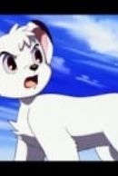 Get Search Anime Myanimelist Net For iPhone Get Wallpaper Search Anime Myanimelist Net For Android