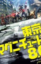Tokyo Magnitude 8.0