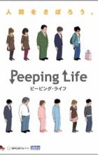 Peeping Life