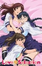 Love Selection The Animation