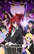 Cuticle Tantei Inaba