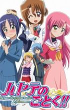 Hayate no Gotoku!!
