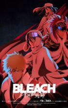 Bleach: Sennen Kessen-hen - Ketsubetsu-tan