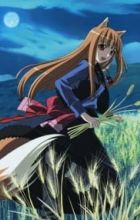 Ookami to Koushinryou II: Ookami to Kohakuiro no Yuuutsu