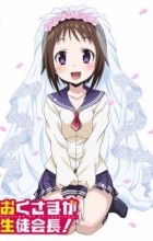 Okusama ga Seitokaichou!