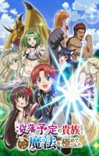 Botsuraku Yotei no Kizoku dakedo, Hima Datta kara Mahou wo Kiwametemita