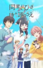 Doukyonin wa Hiza, Tokidoki, Atama no Ue.