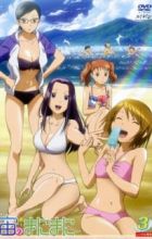 Sora no Manimani Specials