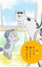 Inu to Neko Docchi mo Katteru to Mainichi Tanoshii