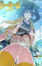 Monogatari Series: Off & Monster Season - Wazamonogatari: Karen Ogre