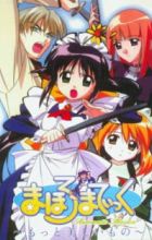 Mahoromatic: Motto Utsukushii Mono