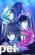 Pet