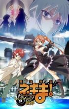 Mahou Sensei Negima!: Mou Hitotsu no Sekai