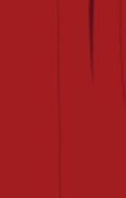 Tantei wa Mou, Shindeiru. Mini Anime