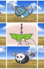 Fairy Tail x Mameshiba