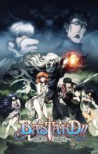 Bastard!! Ankoku no Hakaishin (ONA)