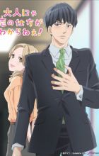 Otona nya Koi no Shikata ga Wakaranee!