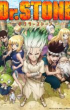 Dr. Stone