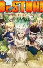 Dr. Stone