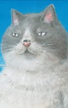 Kanashiki Debu Neko-chan