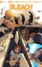 Bleach: Sennen Kessen-hen - Kashin-tan