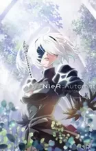NieR:Automata Ver1.1a
