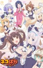 Nekopara