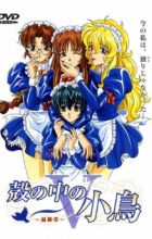 Kara no Naka no Kotori