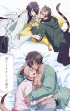 Mori no Kuma-san, Toumin-chuu.