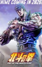 Hokuto no Ken: Fist of the North Star