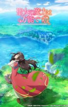 Seijo no Maryoku wa Bannou desu