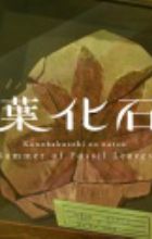 Konohakaseki no Natsu