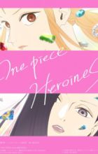 One Piece: Heroines