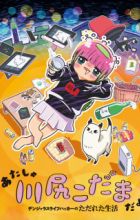 Atasha Kawashiri Kodama da yo: Dangerous Lifehacker no Tadareta Seikatsu