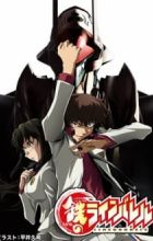 Kurogane no Linebarrels