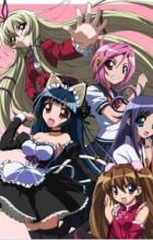 Penguin Musume♥Heart