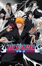 Bleach