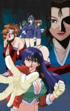 Shin-ban Megami Tantei Vinus File