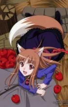 Ookami to Koushinryou II: Holo no Short Anime