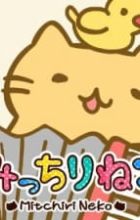 Micchiri Neko March