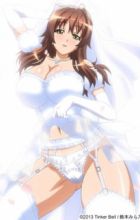 Ryou Seibai!: Gakuen Bishoujo Seisai Hiroku