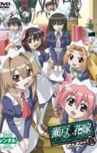 Seto no Hanayome OVA