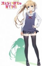 Saenai Heroine no Sodatekata: Ai to Seishun no Service-kai